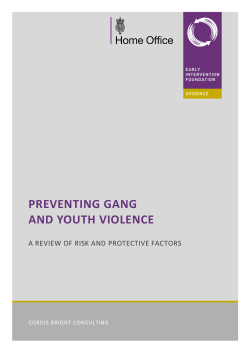 Preventing gang and youth violence