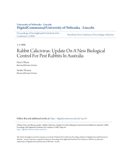 Rabbit Calicivirus: Update On A New Biological Control For Pest