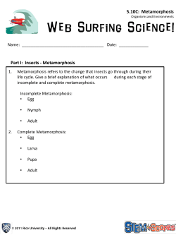 5.10C: Metamorphosis Part I: Insects - Metamorphosis