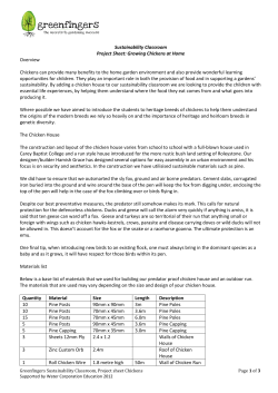 Sustainability Classroom Project Sheet: Growing Chickens at Home