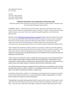 Montana businesses say mining pause will protect jobs