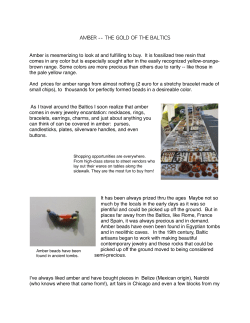 Amber - The Gold of the Baltics