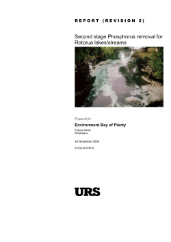 Second stage Phosphorus removal for Rotorua lakes/streams