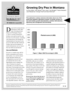 Growing Dry Pea in Montana - Montana State University Extension