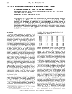 The Role of the Template in Directing the Si Distribution in SAPO