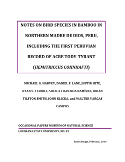 notes on bird species in bamboo in northern madre de dios, peru