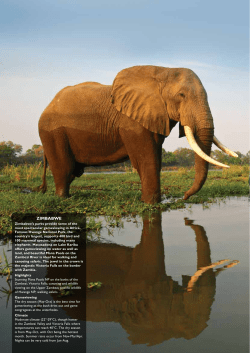 to the full Zimbabwe safari section of our Africa brochure