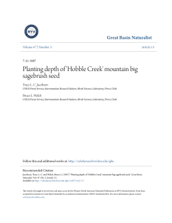 Planting depth of `Hobble Creek` mountain big sagebrush seed