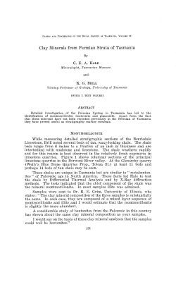 Clay Minerals from Permian Strata of Tasmania