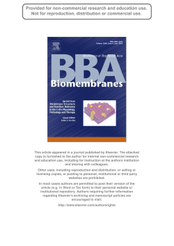 pdf doc - Institute for Molecular Medicine