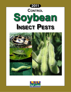 INSECT PESTS - LSU AgCenter