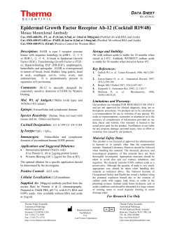 Epidermal Growth Factor Receptor/EGFR Ab