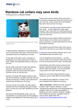 Rainbow cat collars may save birds