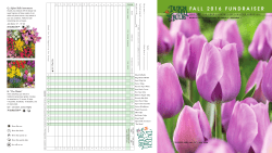 Fundraising Brochure