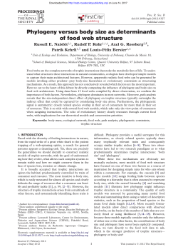 Phylogeny versus body size as determinants of food web structure