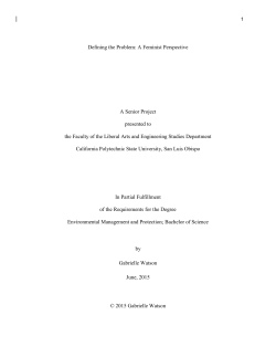 Defining The Problem: A Feminist Perspective