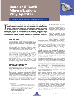 Bone and Tooth Mineralization: Why Apatite?