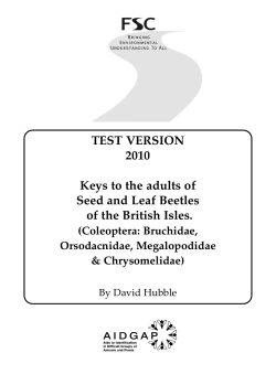 TEST VERSION 2010 Keys to the adults of Seed and Leaf Beetles of