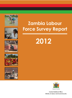 2.33 MB - IHSN Survey Catalog