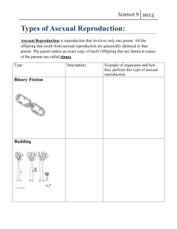 Types of Asexual Reproduction