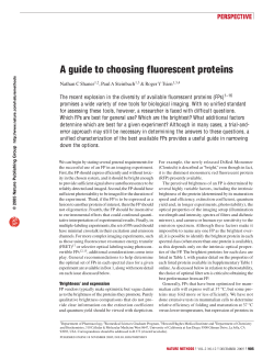 A guide to choosing fluorescent proteins