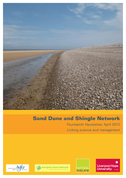 Newsletter 14 - Sand Dune and Shingle Network