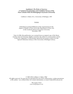 Audubon`s The Birds of America: A Technical