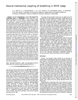 Neural-mechanical coupling of breathing in REM sleep