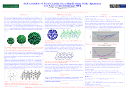 Self-Assembly of Viral Capsids via a Hamiltonian Paths Approach