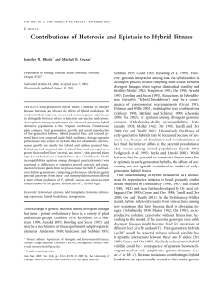 Contributions of Heterosis and Epistasis to Hybrid Fitness