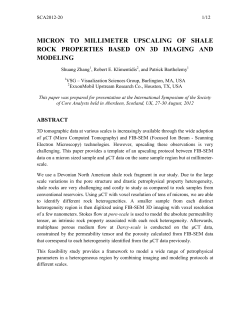 2012: micron to millimeter upscaling of shale rock properties based