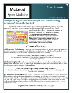 Strength Program-Four Basics of Training