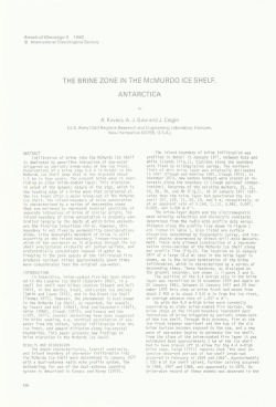 THE BRINE ZONE IN THE McMURDO ICE SHELF, ANTARCTICA