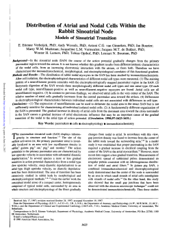 Distribution of Atrial and Nodal Cells Within the Rabbit Sinoatrial Node