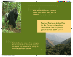 Revised Regional Action Plan for the Conservation of the Cross