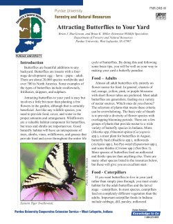 FNR-248-W Attracting Butterflies to Your Yard
