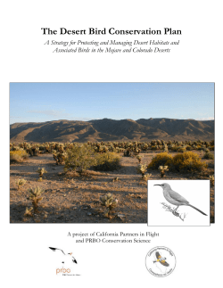 The Desert Bird Conservation Plan