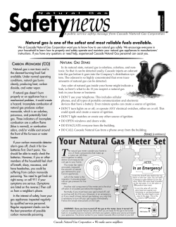 tips about vapors - Cascade Natural Gas