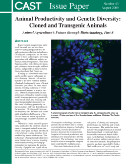 Animal Productivity and Genetic Diversity: Cloned and Transgenic
