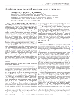 Hypertension caused by prenatal testosterone excess in female sheep