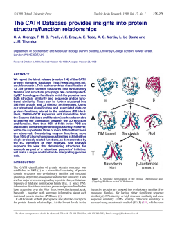 The CATH Database provides insights into protein structure/function
