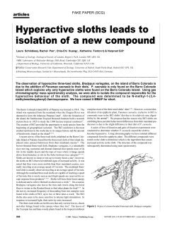 layout sloth