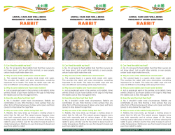 Animal care and well-being frequently asked