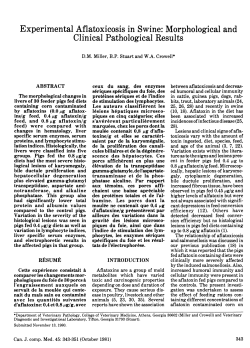 Clinical Pathological Results