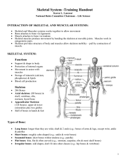 Skeletal System -Training Handout