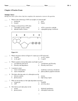 ExamView Pro - Untitled.tst