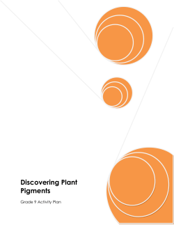 Discovering Plant Pigments