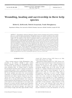 Full text in pdf format