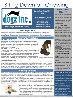 Biting Down on Chewing