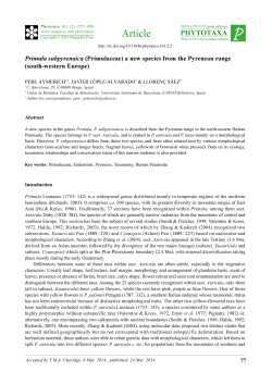 Primula subpyrenaica (Primulaceae) a new